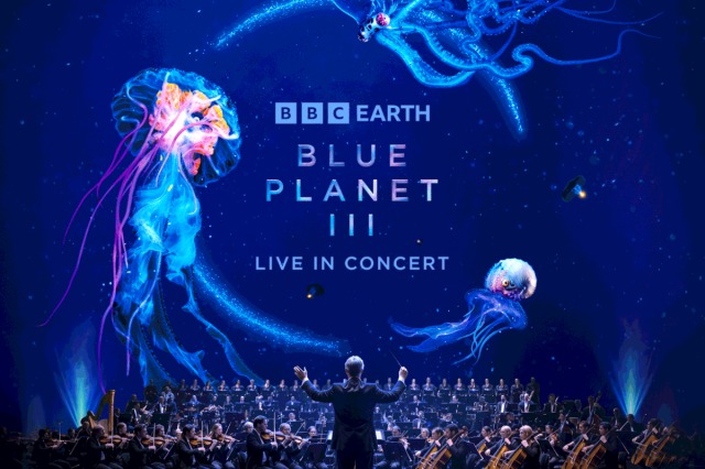 BBC《蓝色星球 3》刻意保留瑕疵镜头,和 AI“完美影像”划清界限